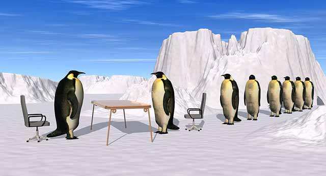 面试领导不重视你你该怎么办,面试官问遇到不配合的客户怎么办