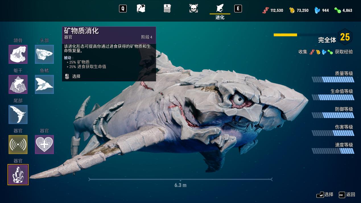 开局一条鲲进化全靠吞游戏视频,开局一只鲲进化全靠吞的游戏