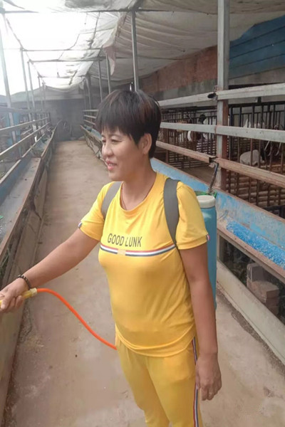 萧县乡村妇女孙玉香养羊脱贫