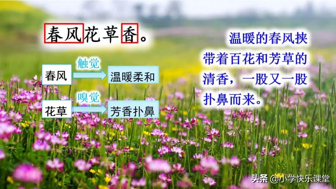 寒假预习部编版本1-3年级,寒假预习课文二年级下