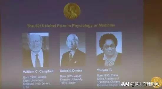 屠呦呦获奖的科学家,屠呦呦有诺贝尔奖吗