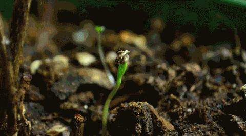 绔嬫槬涓囩墿澶嶈嫃闈欏緟鏄ユ潵,涓囩墿澶嶈嫃闈欏緟鏄ユ潵鍘熸枃