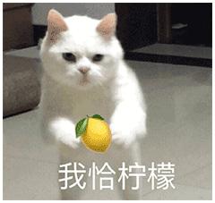 柠檬精的英文,柠檬用日语怎么讲