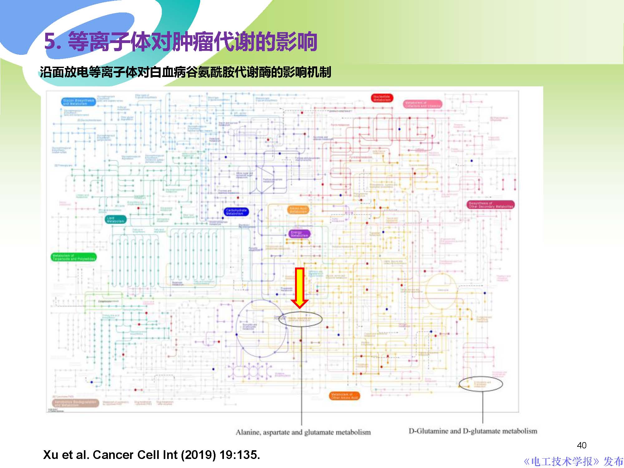 癌症治疗最前沿学术成果,交大癌症治疗新突破