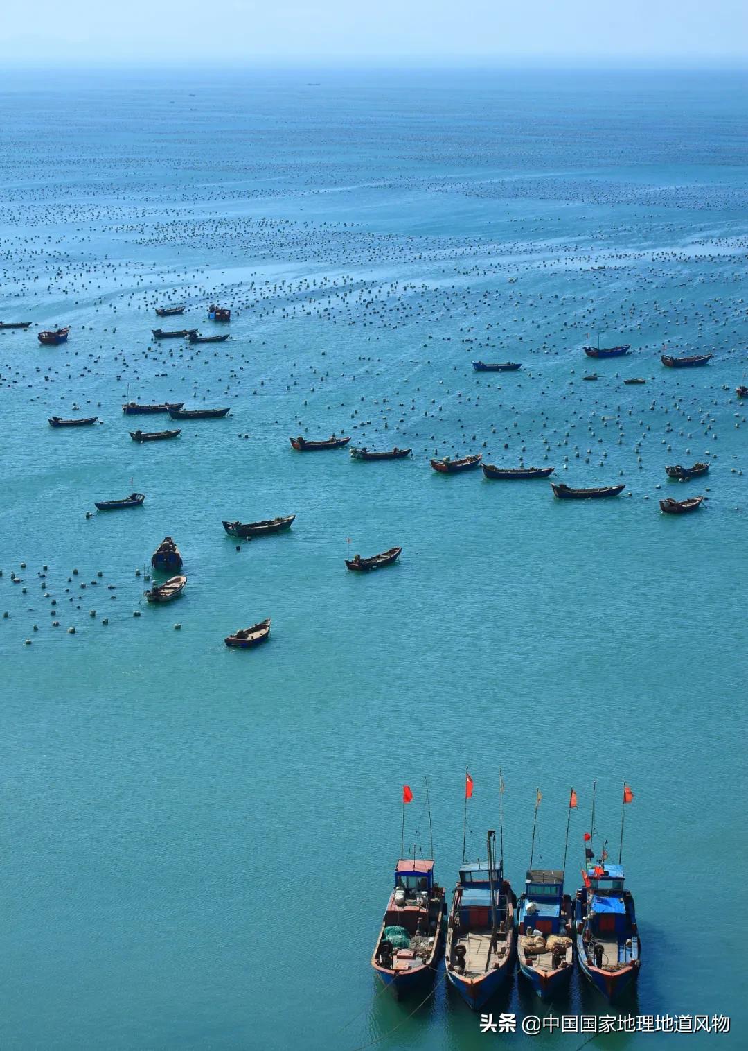 中国吃掉最多的食物,哪个产地的带鱼最好吃