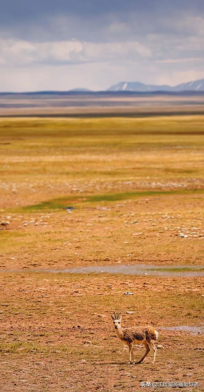 全世界50个最美景点,全球公认的最美的二十个地方