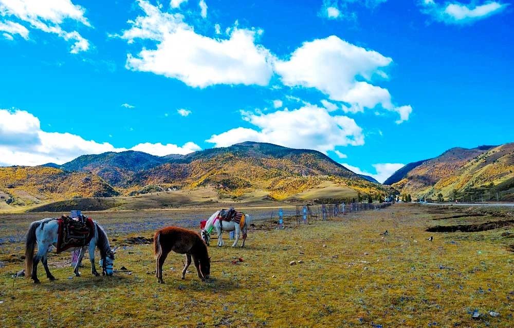 甘孜稻城亚丁景区圣水门优惠,甘孜免门票景点到什么时候