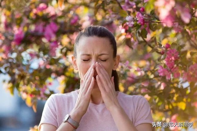 过敏性鼻炎咳嗽,过敏性鼻炎吃什么药