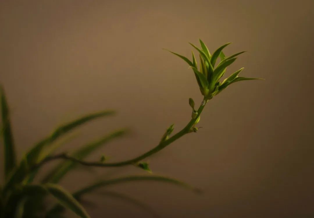 pr公关需要具备的专业知识技能,pr公关职场指南