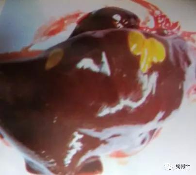 鸽子毛滴虫的克星草药,鸽子的毛滴虫治疗方法