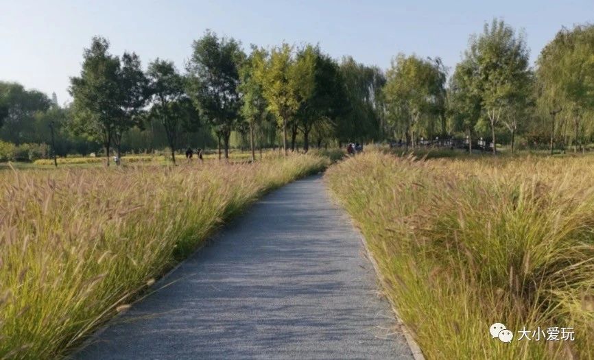 北京适合踏春旅游景点,北京春天看花的景点推荐