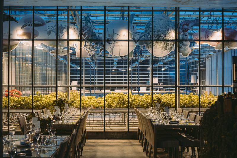 飘雪的季节,你要来一次冰岛(附冬季环游攻略)