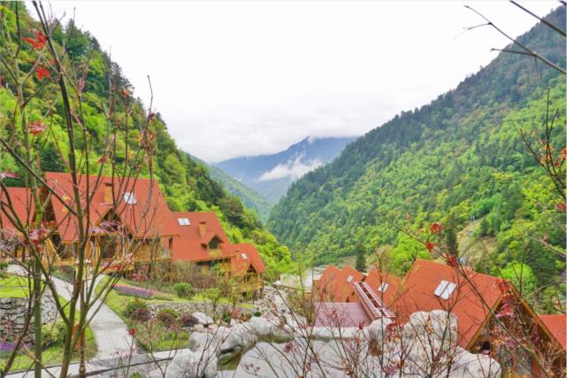 阿坝州红叶之旅,什么时候去阿坝州看秋景最佳