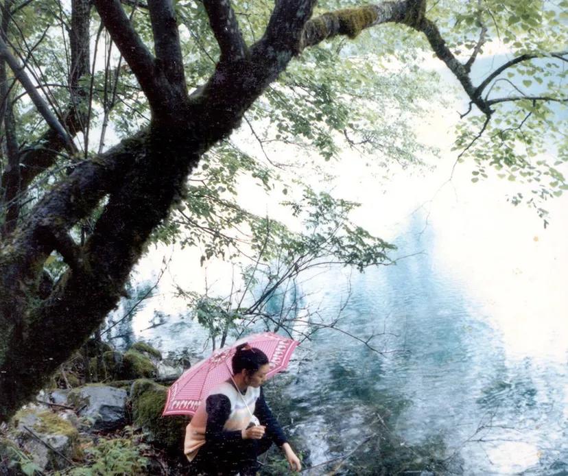 错坠盘丝洞简介,错坠盘丝洞蜘蛛精