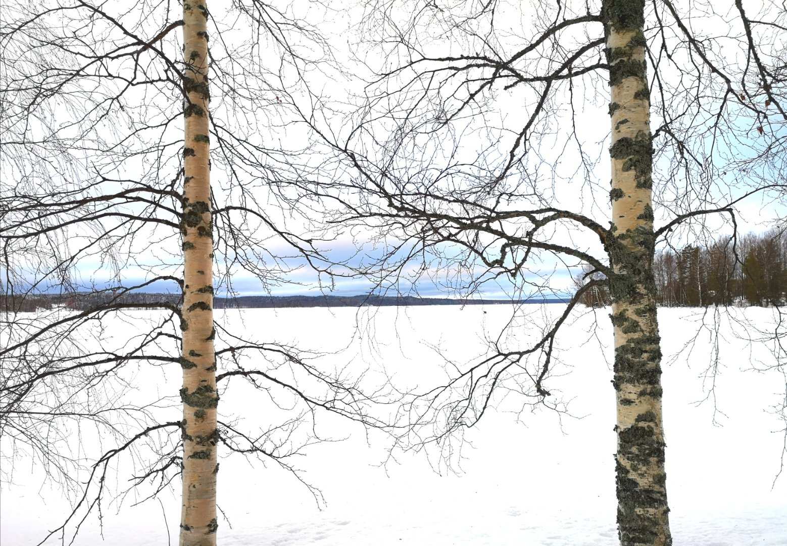 寒冬将至，2019冬季的魔力Taikatalvi-芬兰冬季文化营回顾