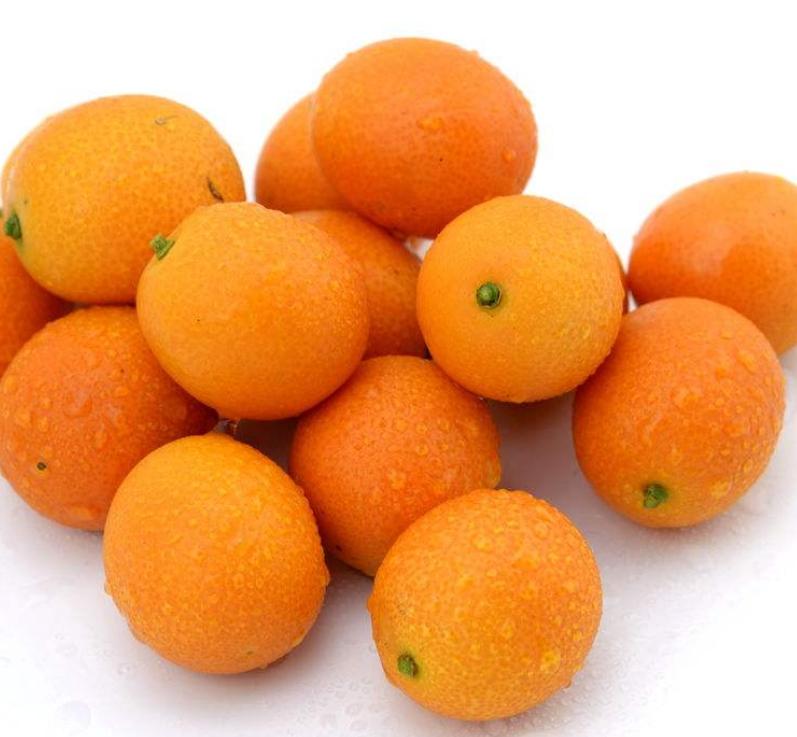 金桔移栽后落花落果但叶子不落,脆蜜金桔落花落果是怎么回事呢