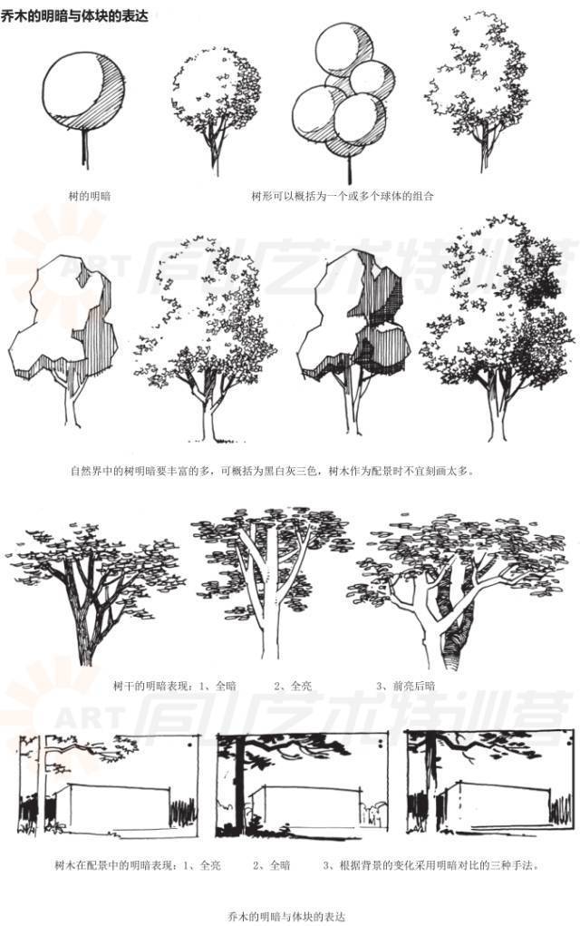 儿童绘画涂色基础入门教程,零基础新手绘画入门教程