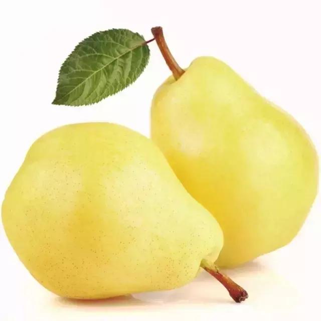 100种水果简笔画图片大全大图,儿童简笔画入门水果0-3岁