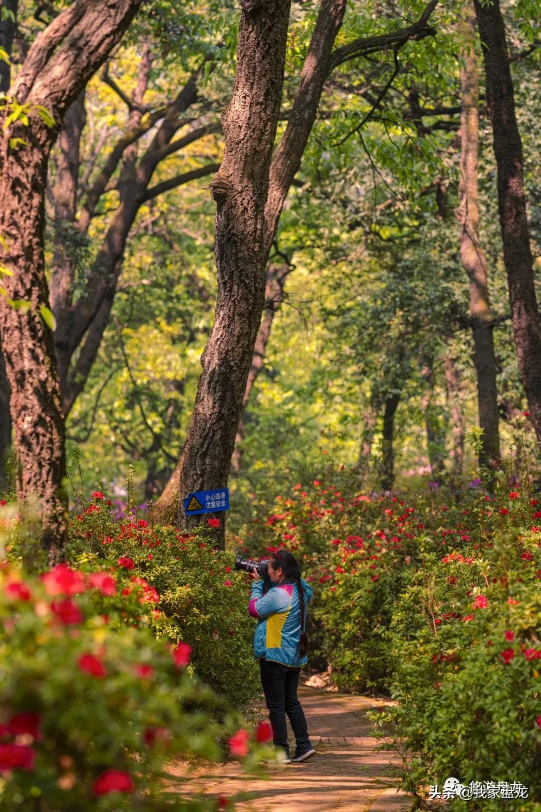 100张照片一百种幸福,100张图片带你去云南