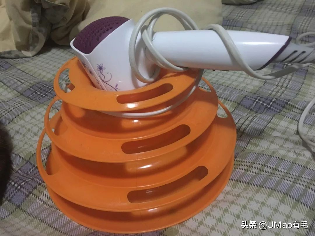 李佳琦叫卖都不管用！双十一猫咪用品这些坑得避