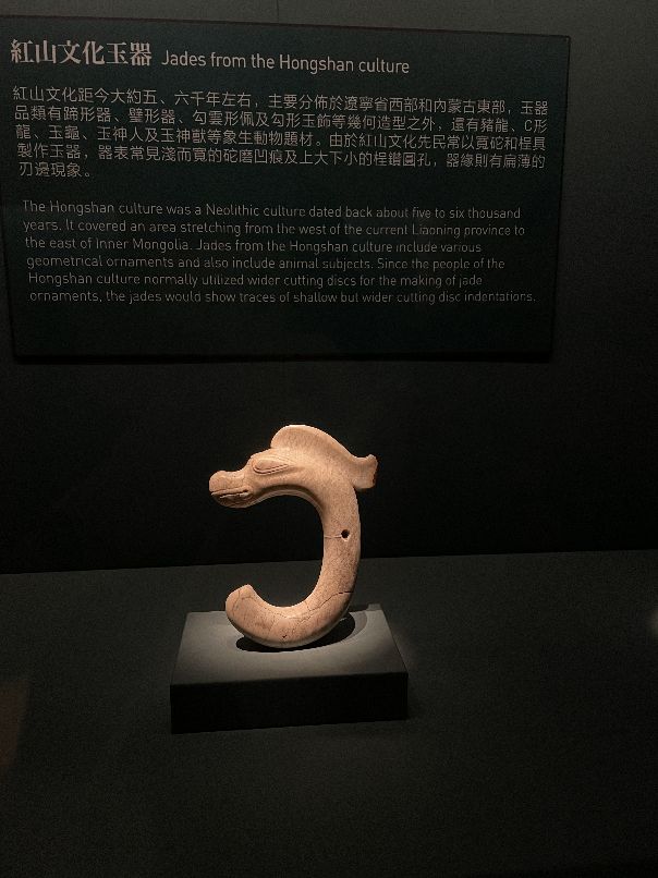 魔都十大必去博物馆,上海震旦博物馆攻略