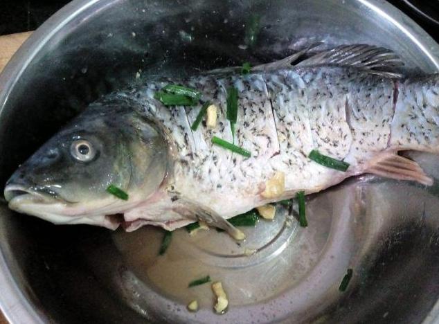 过年炖鱼怎样不散,炖过年鱼家常做法