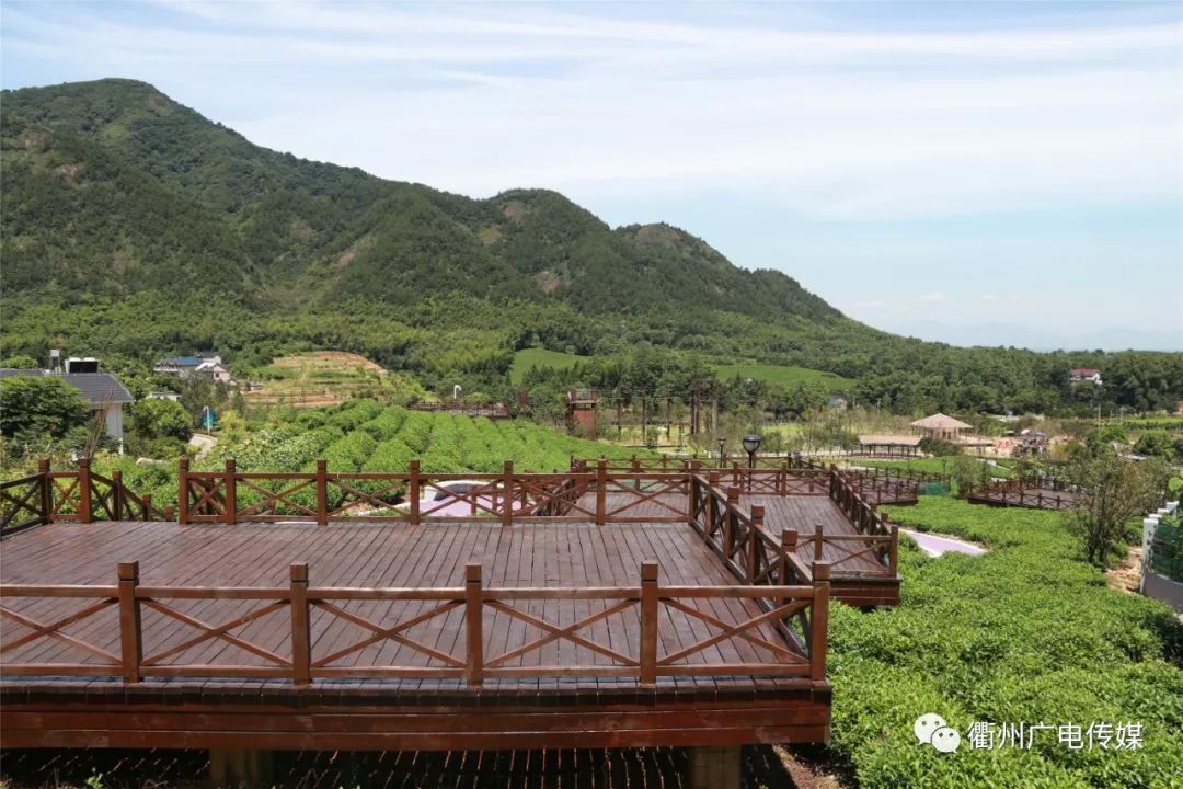 衢州森林运动小镇,衢州投资120亿文旅