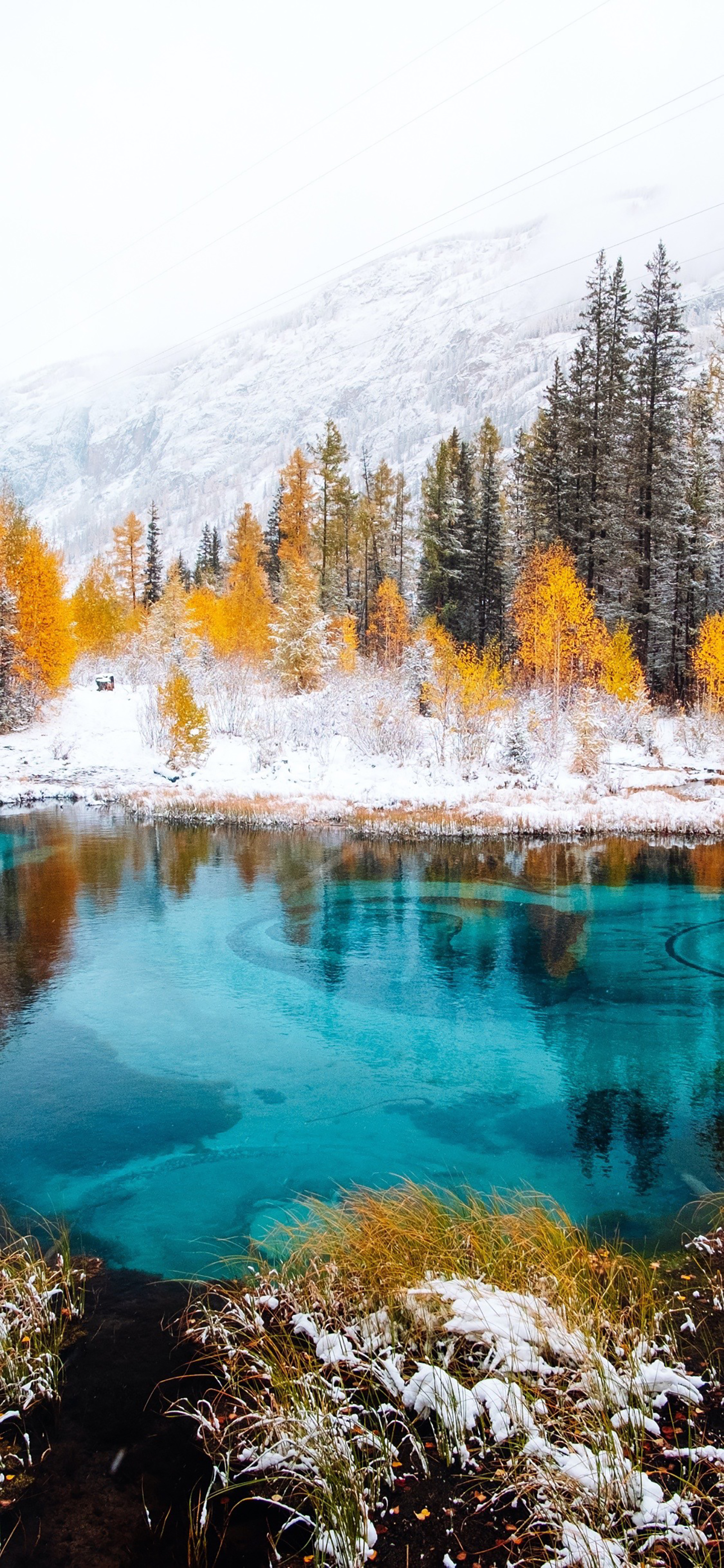 高清花和水的结合壁纸,风景壁纸高清全屏高级感组合