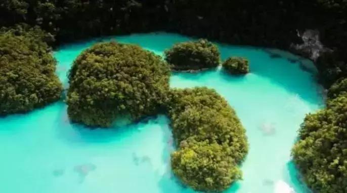 帕劳自由潜水完整视频,帕劳自由潜水玩法