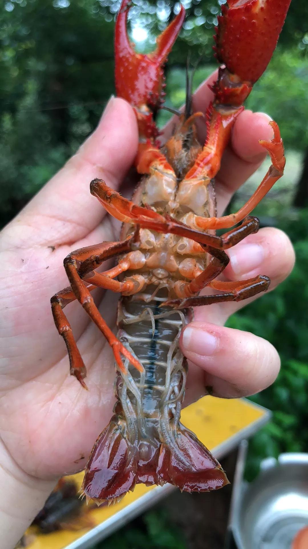 一场说走就走的旅行,一场说走就走的聚会