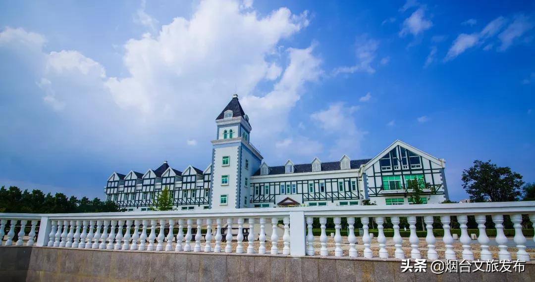 张裕卡斯特酒庄窖藏5年,张裕卡斯特酒庄品酒