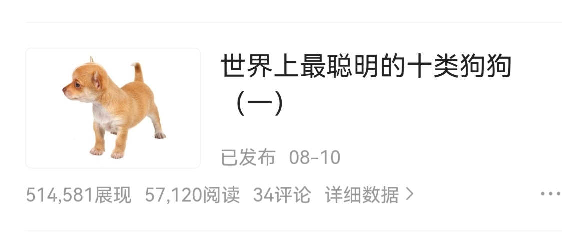 狗礼仪文化,狗尊重主人的表现