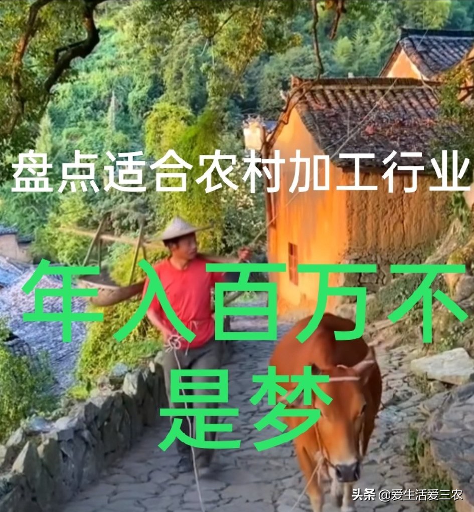 在农村开个什么加工厂比较赚钱,适合农村小作坊农产品加工项目