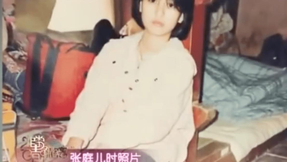 蜘蛛精王丽坤原版,张庭蜘蛛精事件