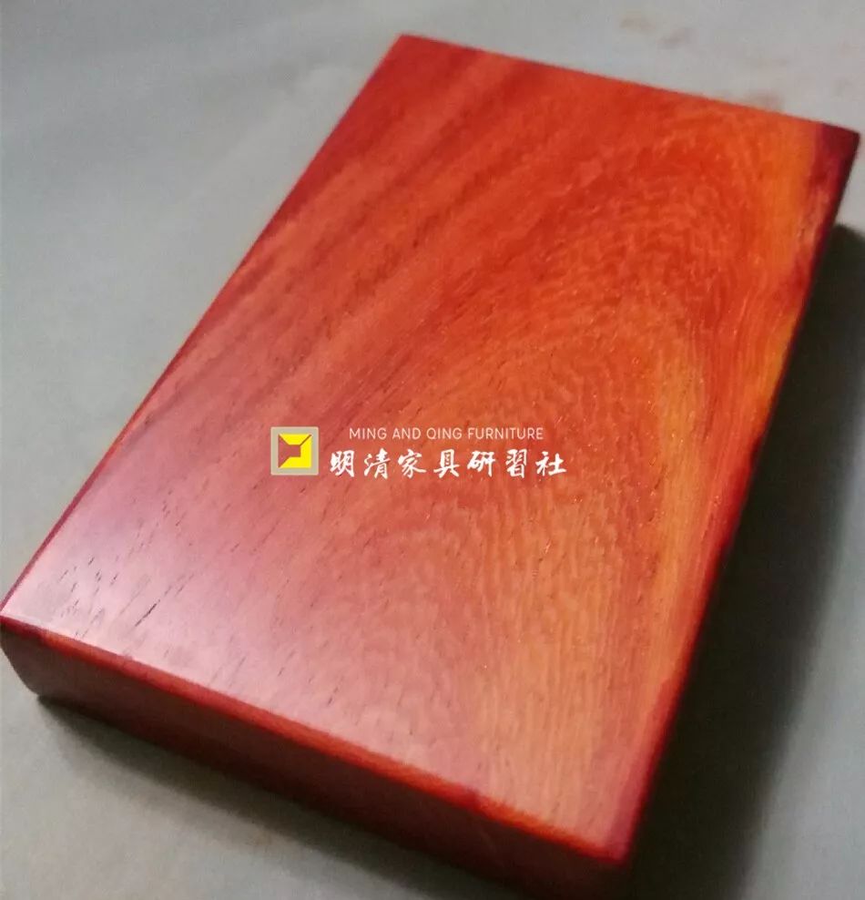 紫檀的真实身份,紫檀最后的样子