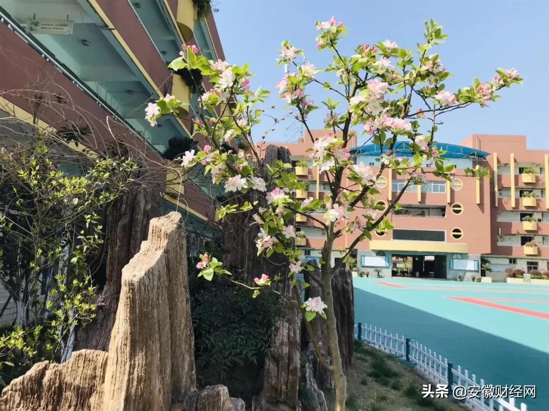 花都开好了现场完整版,花都开好了合唱合拍