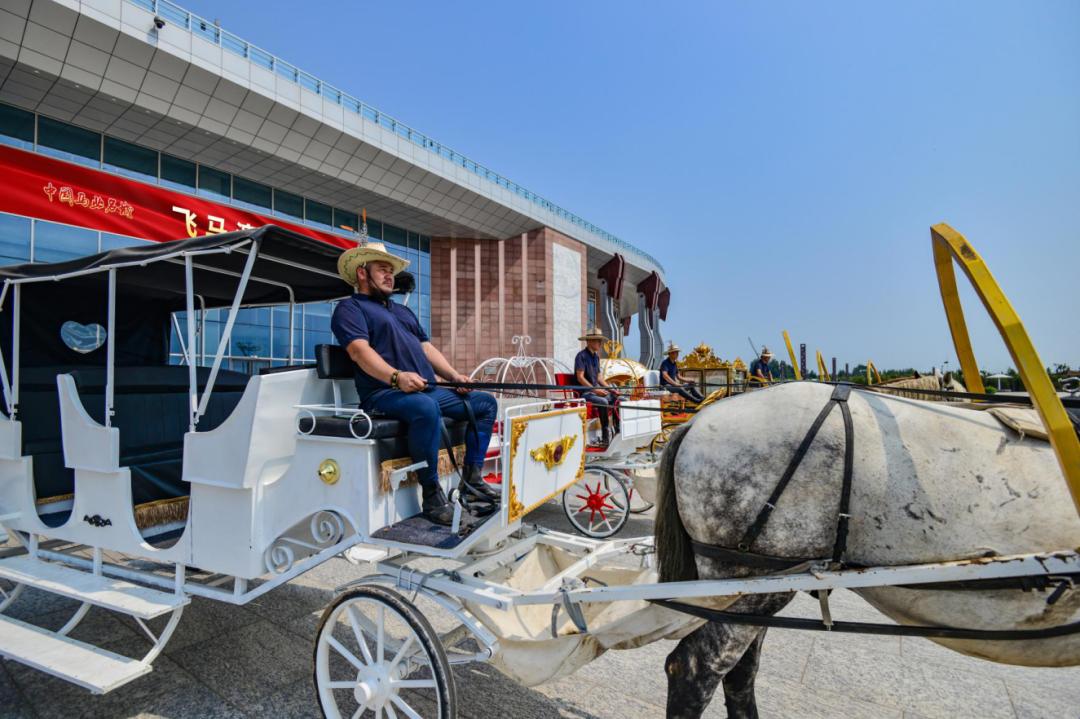 马匹的疾病,马匹疾病