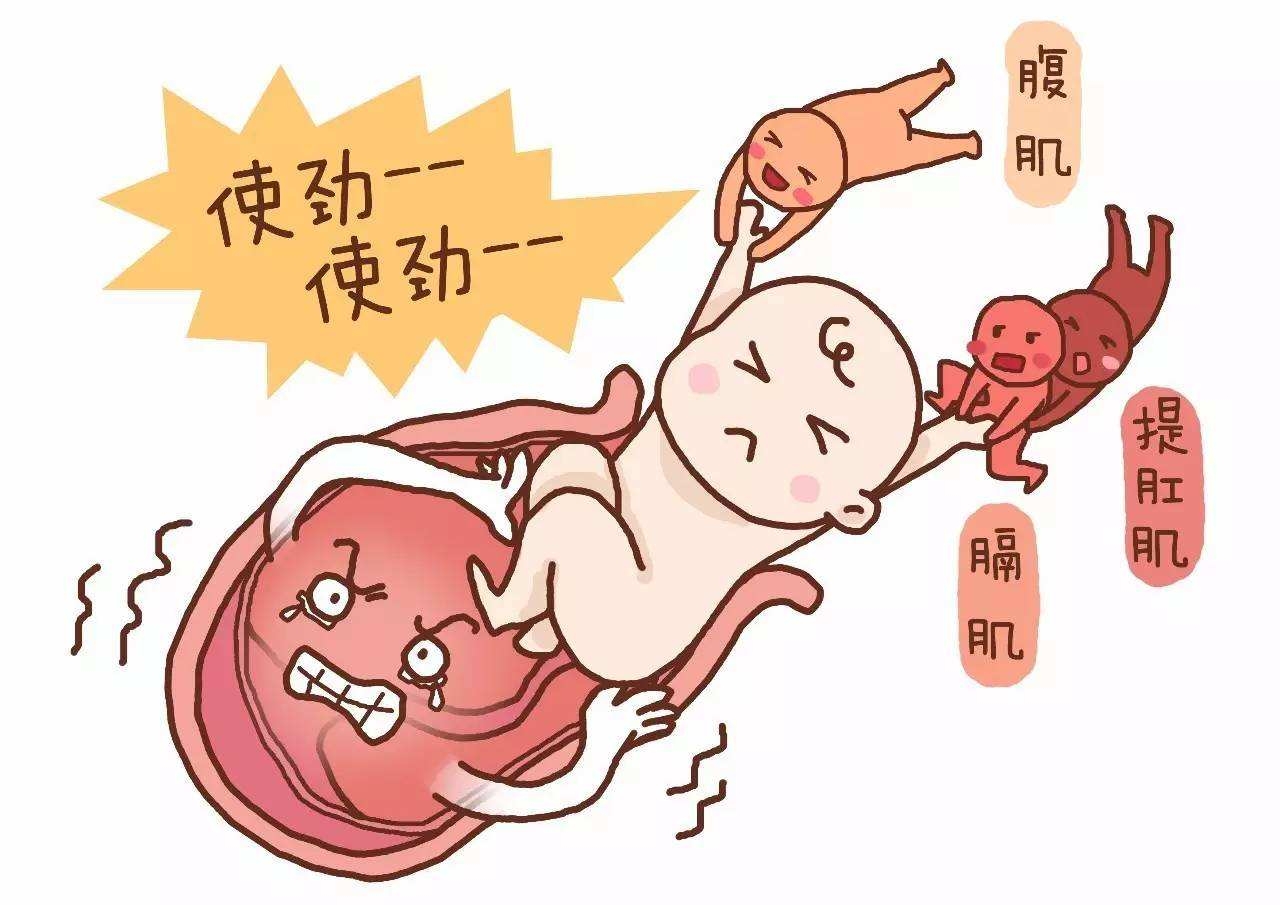 孕妇有这3种表现说明宝宝越健康,孕妇哪三种表现说明胎儿发育好