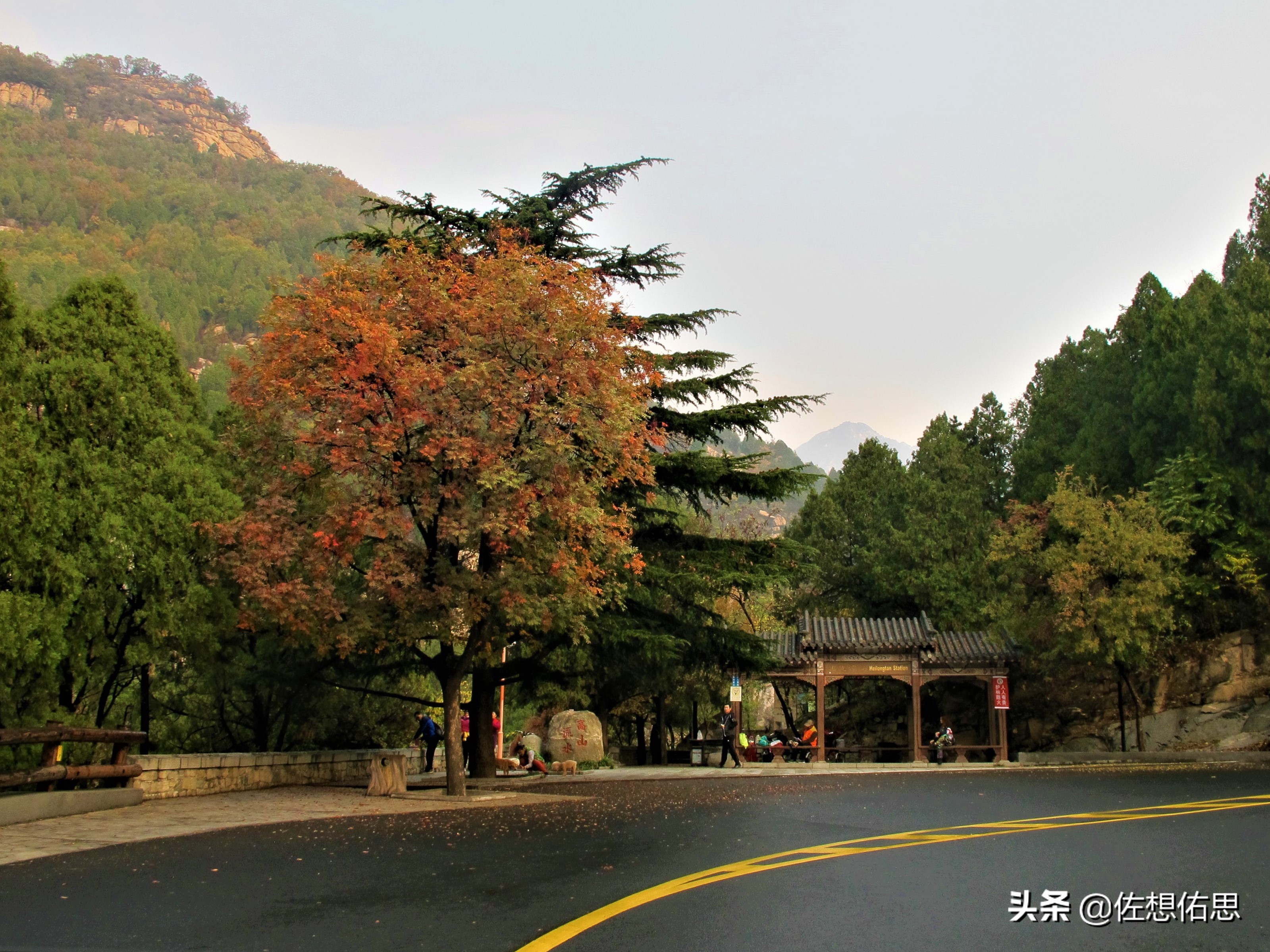 泰安扇子崖免门票吗,扇子崖门票多少钱