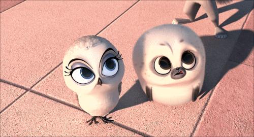 盘点爸妈深信不疑的谣言,拯救爸妈朋友圈谣言粉碎指南上线