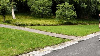 巅峰极速最高时速135的车有哪些,乐行天下v14adventure平衡车