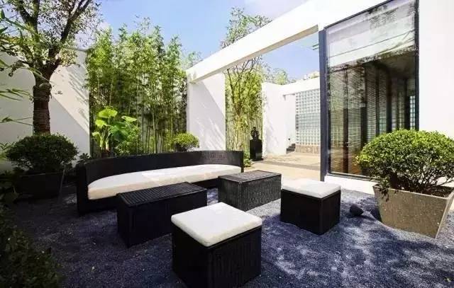 北方庭院室外耐寒植物,庭院驱蚊效果最好植物