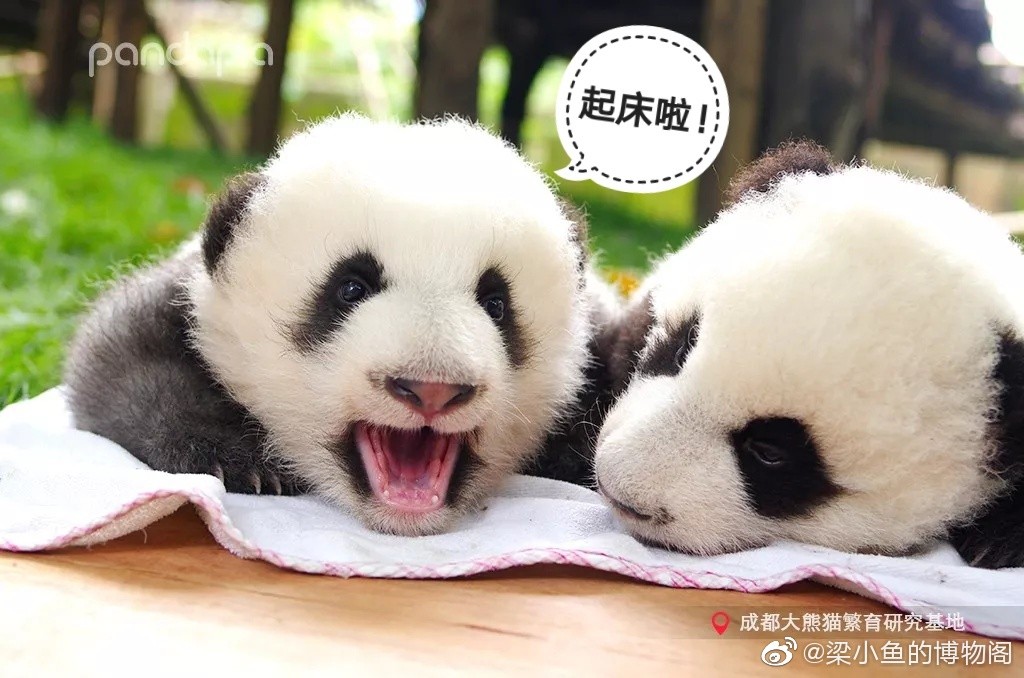 因为你们，“爱豆”的世界离我们不再远咯