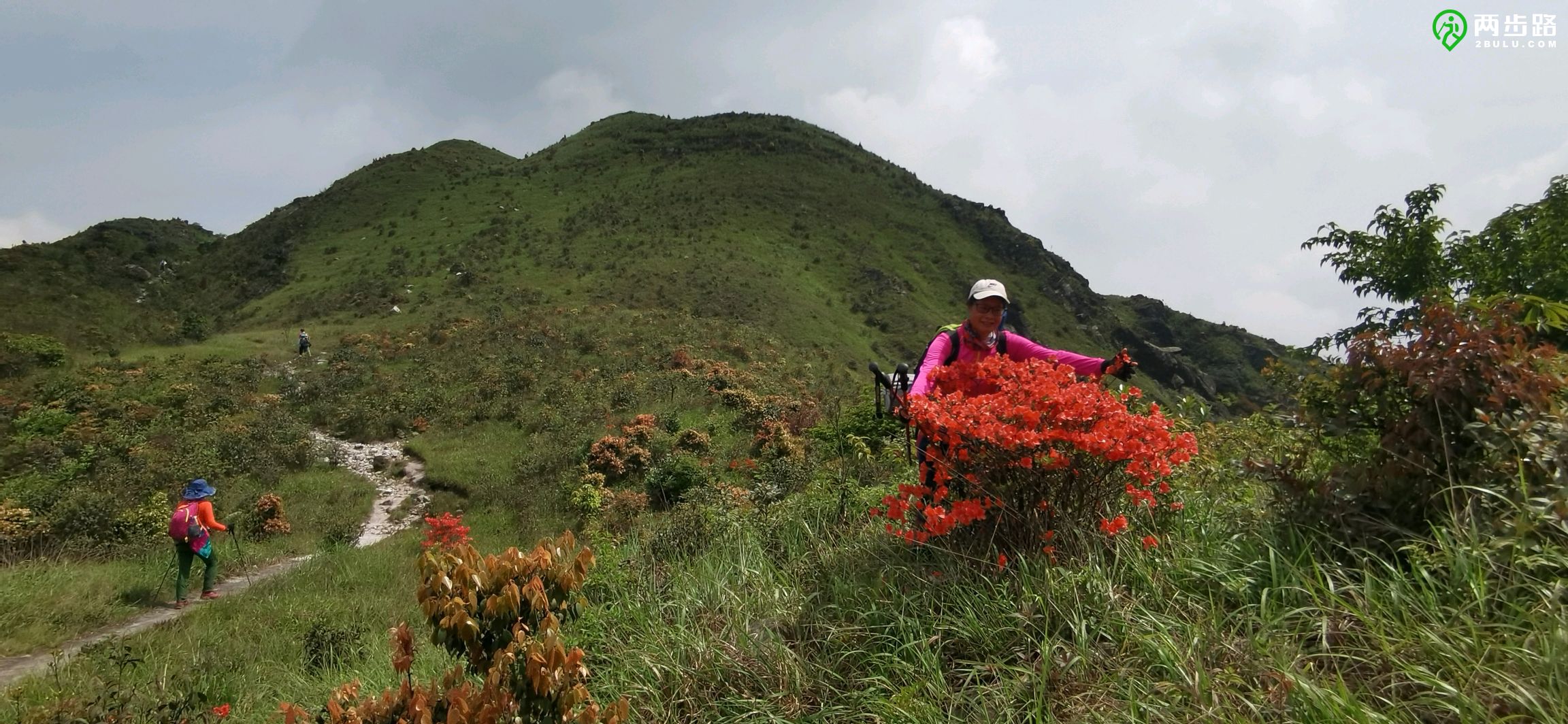 二天三夜邮轮游,两天三夜的海上旅行