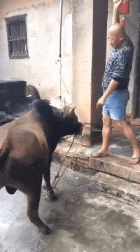 女生必备的奢侈品手链 (轻奢奢华手链)