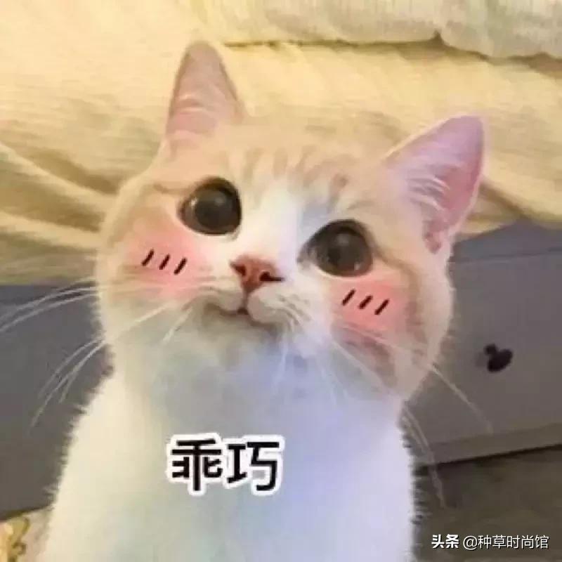 港货屈臣氏最值得买的护肤品,屈臣氏里面有什么值得买的