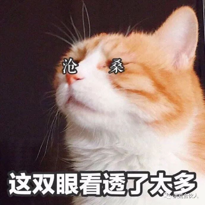 在哪里可以投资指数基金,纳斯达克指数基金值得长期投资吗