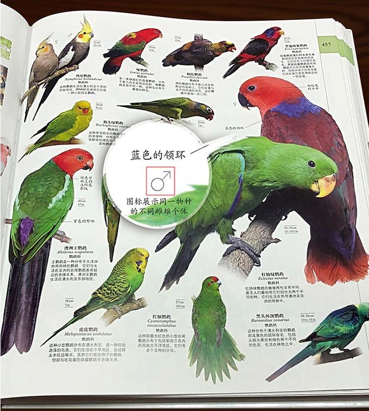 让更多的孩子走进早教课堂,早教课该不该上