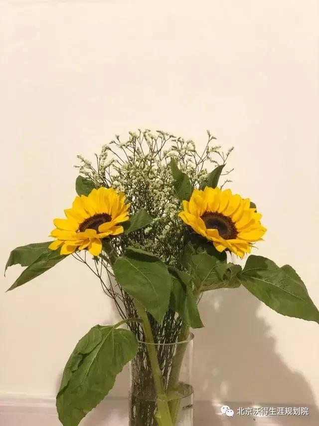 28道题看出你是适合什么工作,28道题看你适合做什么工作