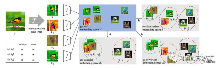 万物皆ContrastiveLearning，从ICLR和NIPS上解读最新研究进展